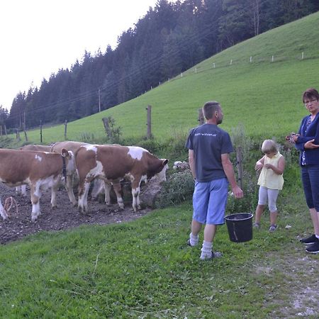 Kiblerhof Lägenhet Rußbach am Paß Gschütt Exteriör bild