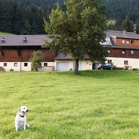 Kiblerhof Lägenhet Rußbach am Paß Gschütt Exteriör bild