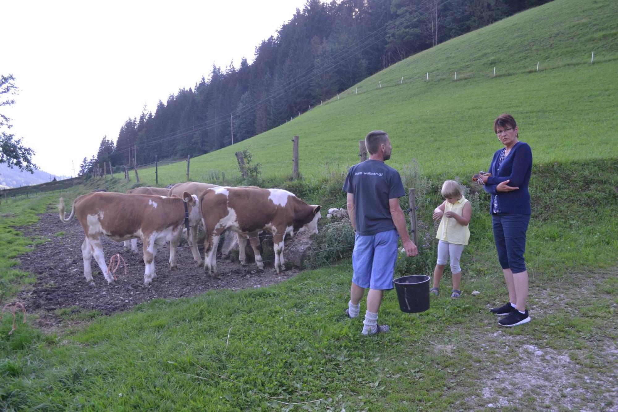 Kiblerhof Lägenhet Rußbach am Paß Gschütt Exteriör bild