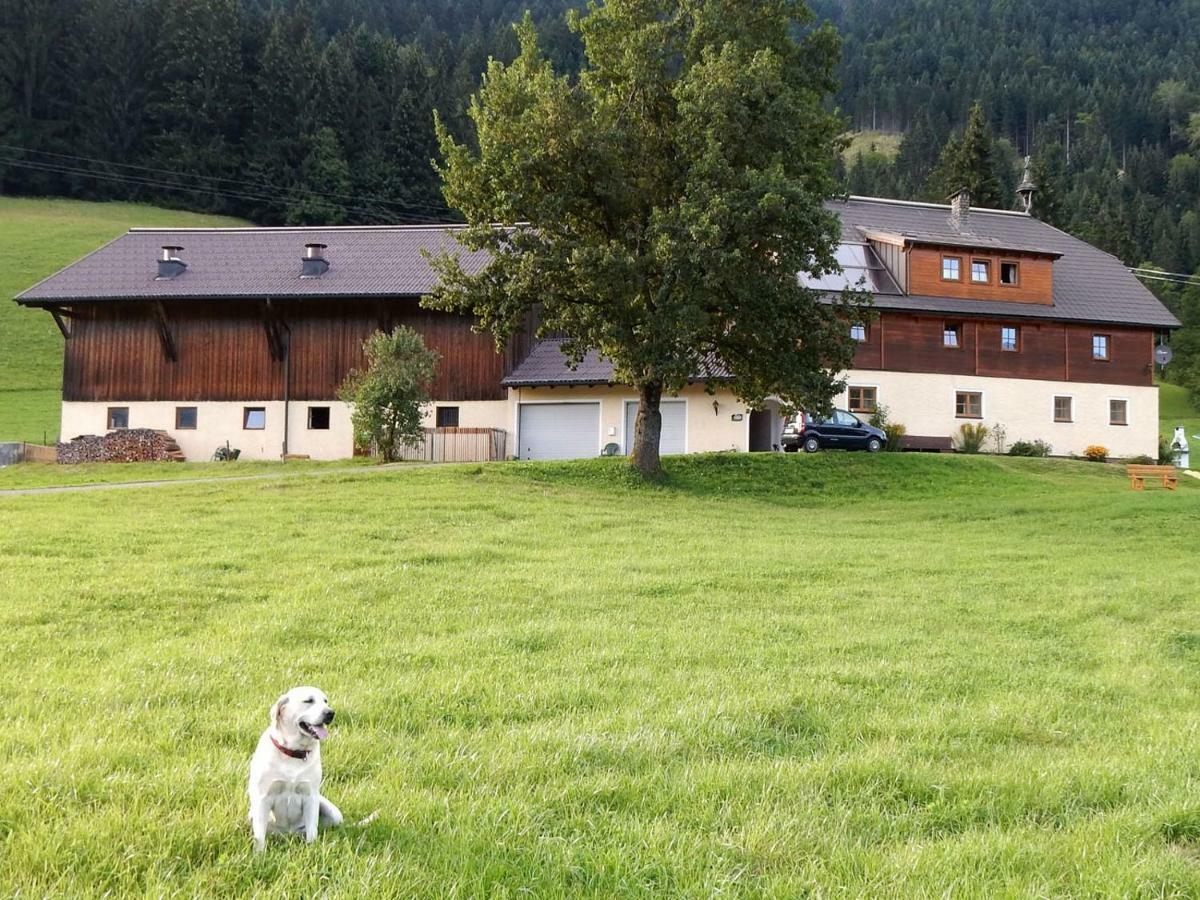 Kiblerhof Lägenhet Rußbach am Paß Gschütt Exteriör bild