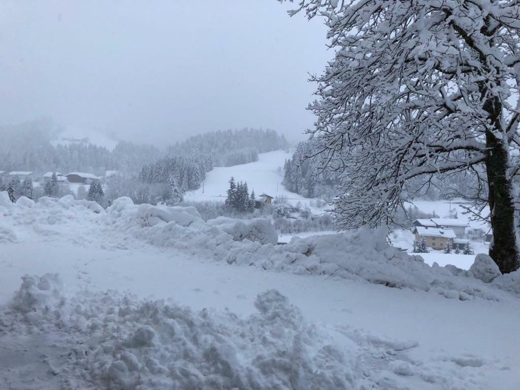 Kiblerhof Lägenhet Rußbach am Paß Gschütt Exteriör bild