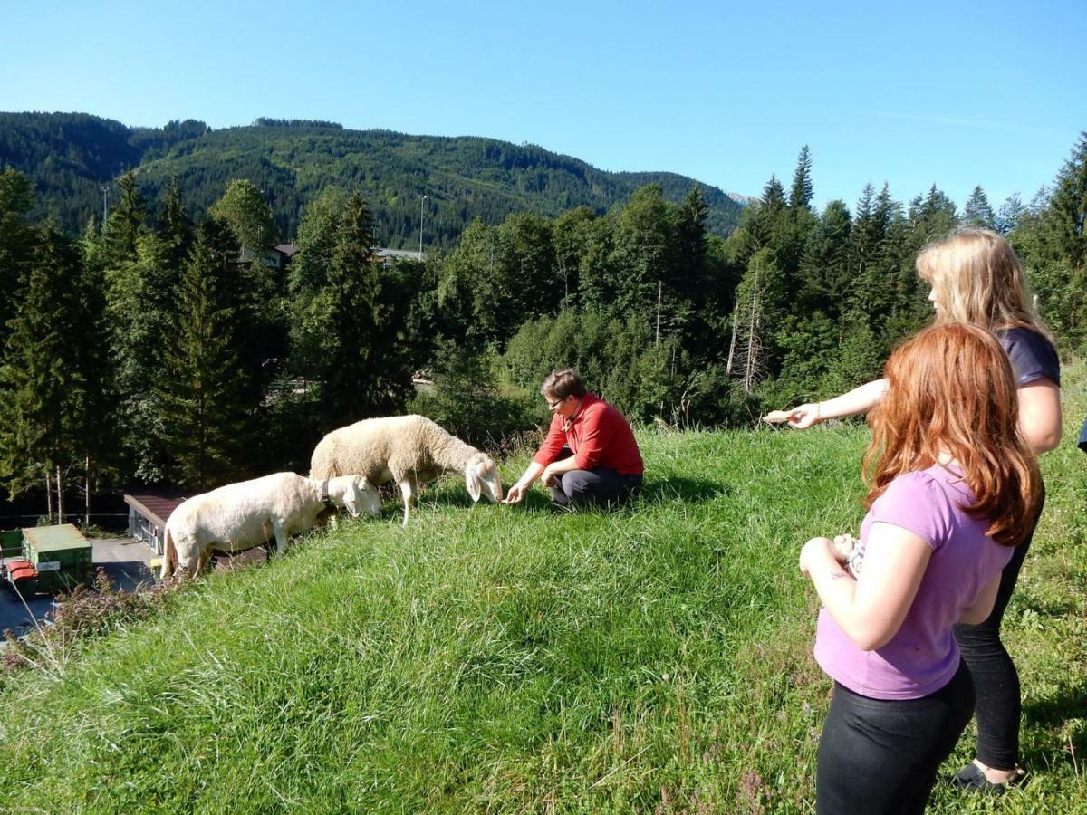 Kiblerhof Lägenhet Rußbach am Paß Gschütt Exteriör bild